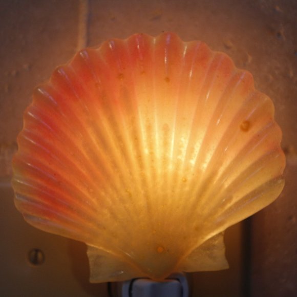 Resin Shell Night Light that Glows in Dark when light is not on - Picture 3 of 4